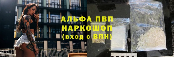 крисы Алексин