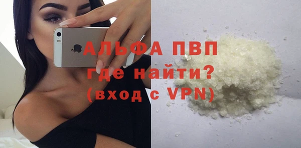 крисы Абаза