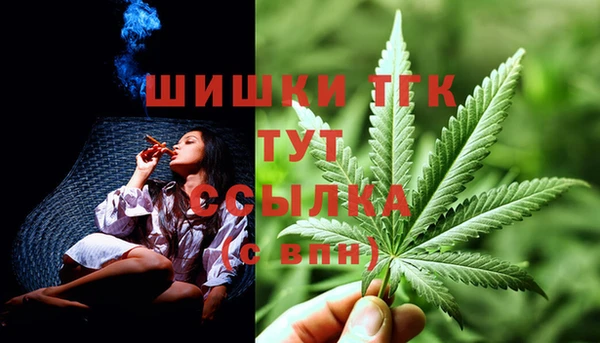 крисы Абаза