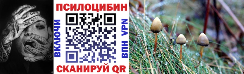 Псилоцибиновые грибы прущие грибы  купить наркотик  Навашино 