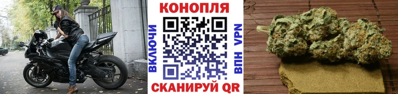shop наркотические препараты  ссылка на мегу как войти  Навашино  Конопля SATIVA & INDICA 